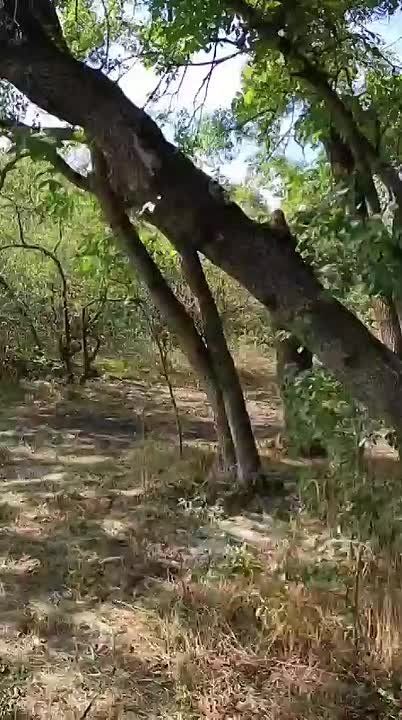     ,        ,               