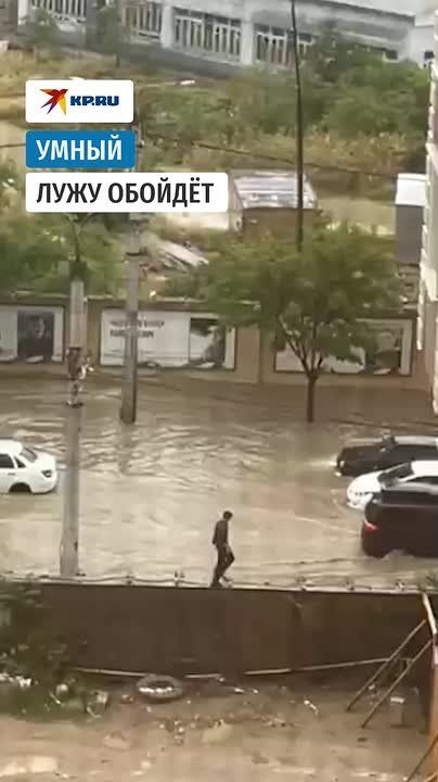    ,      ( )