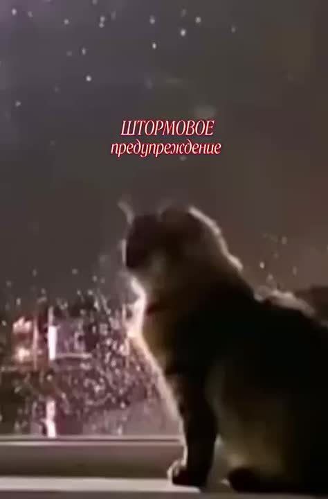 #26.               0  2025 .      ,     ,   ...