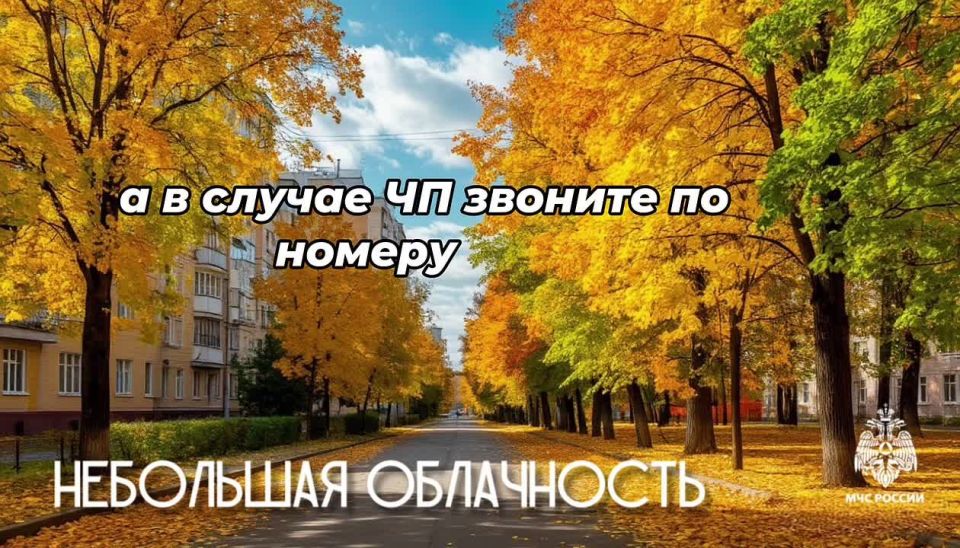 #26.      :