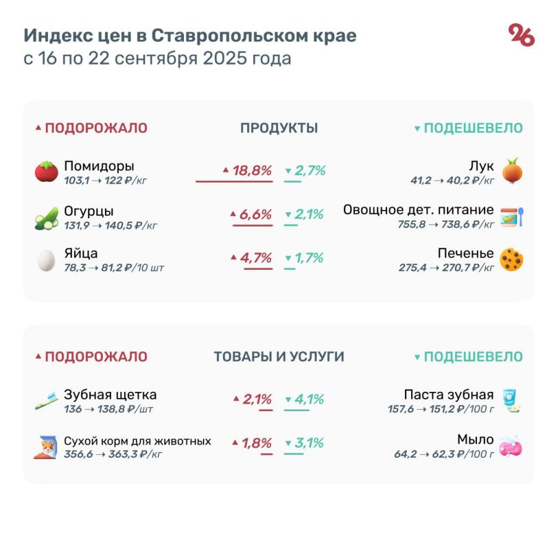  19%       