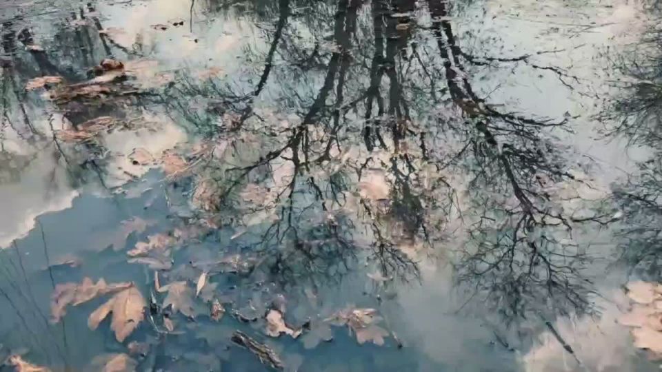   ,     , 