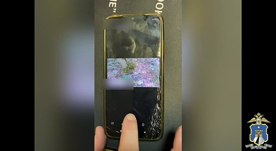 ,    ,  