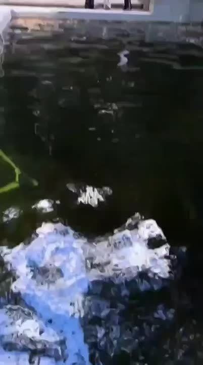     -    