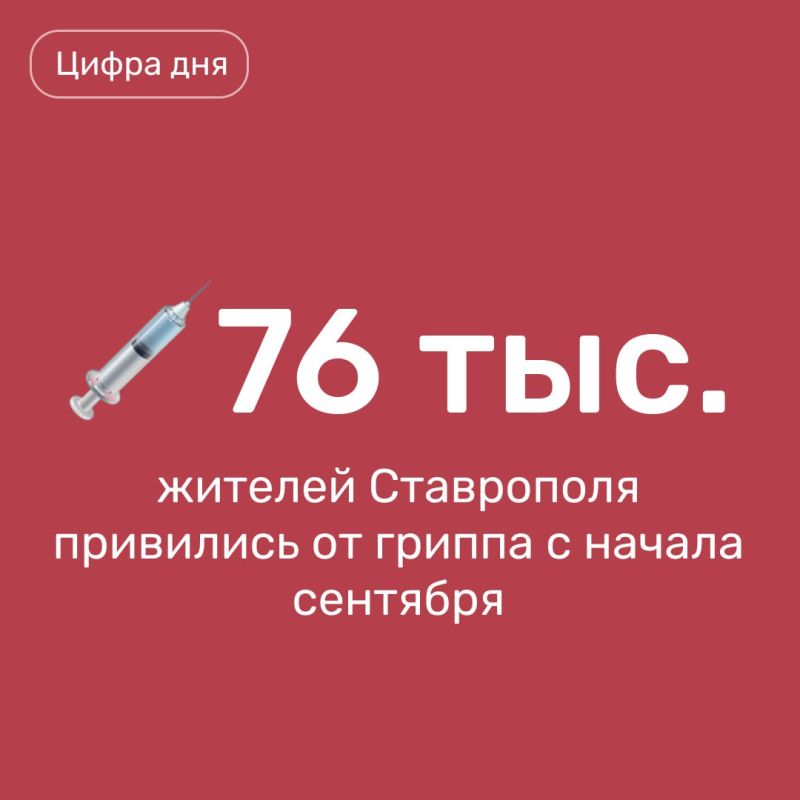       ,     : ,   ,       .    4,8 