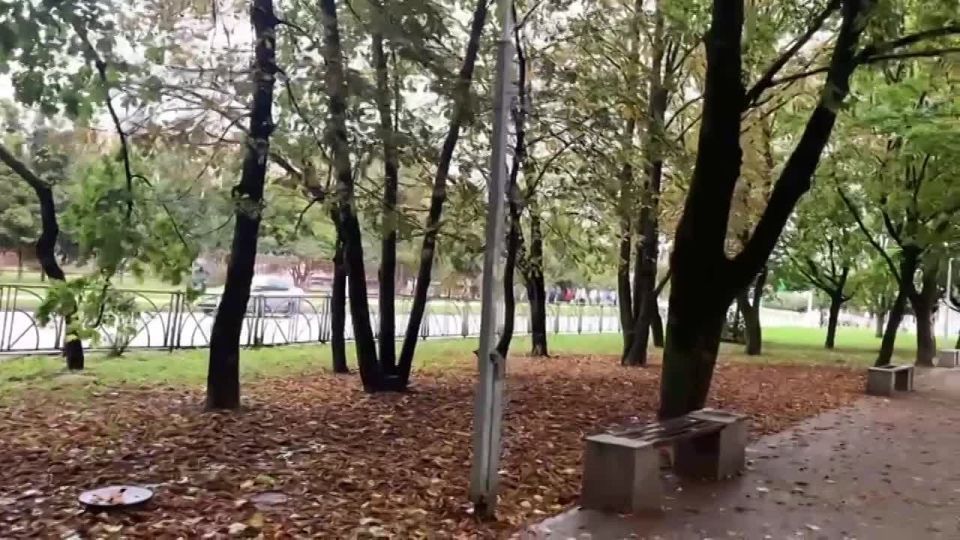 ,   ?