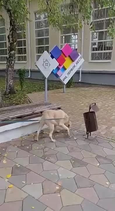          :   