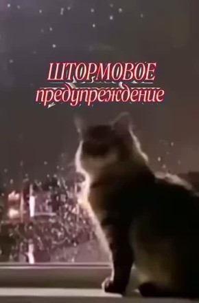#26.       14-16      9       10,11  12        ,    ...