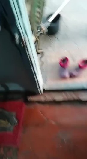     :   ,     