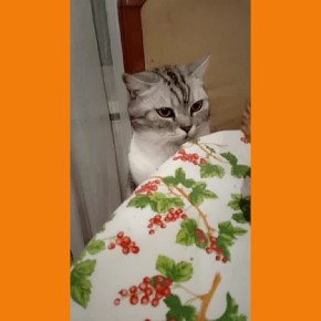     ?