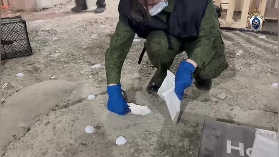 Ставропольца, чья дочь погибла из-за средства от насекомых, ждёт суд