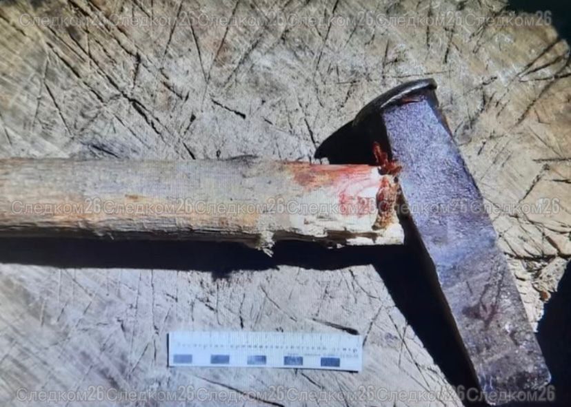 Забил собутыльника молотком - в Будённовском округе мужчина признан виновным в убийстве