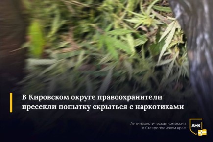Бегущего с пакетом наркотических растений задержали на окраине Новопавловска