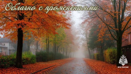 #МЧС26Прогноз. Погода по данным Ставропольского ЦГМС: 21ОКТЯБРЯ в крае облачно с прояснениями, местами дождь (ночью умеренный, днём небольшой)