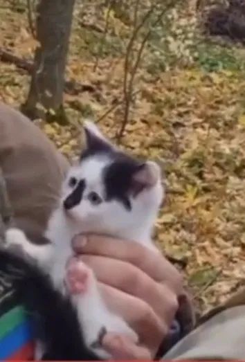 Этого ушастого кроху спас дагестанский боец в зоне спецоперации