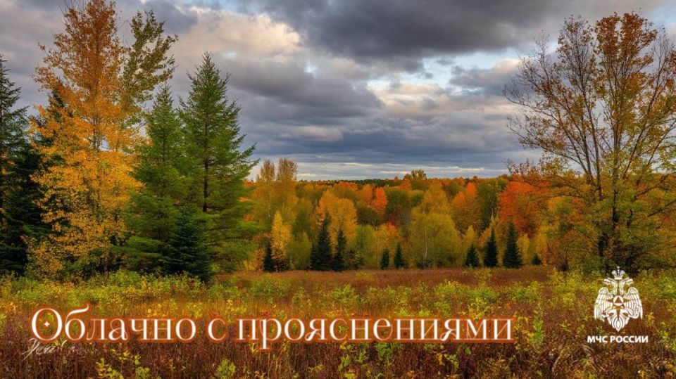 #МЧС26Прогноз. Погода по данным Ставропольского ЦГМС: 23ОКТЯБРЯ в крае облачно с прояснениями, местами небольшой дождь, ночью и утром в отдельных районах туман