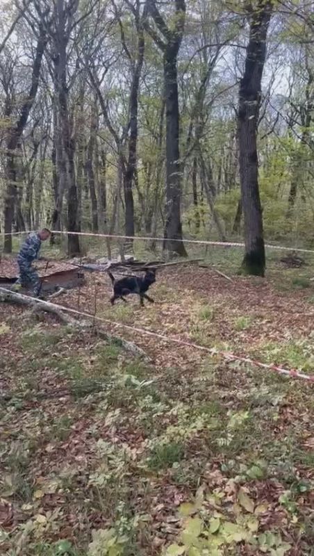 82-миллиметровая минометная мина найдена на выезде из Железноводска