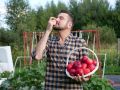 Сроки посадки плодовых культур