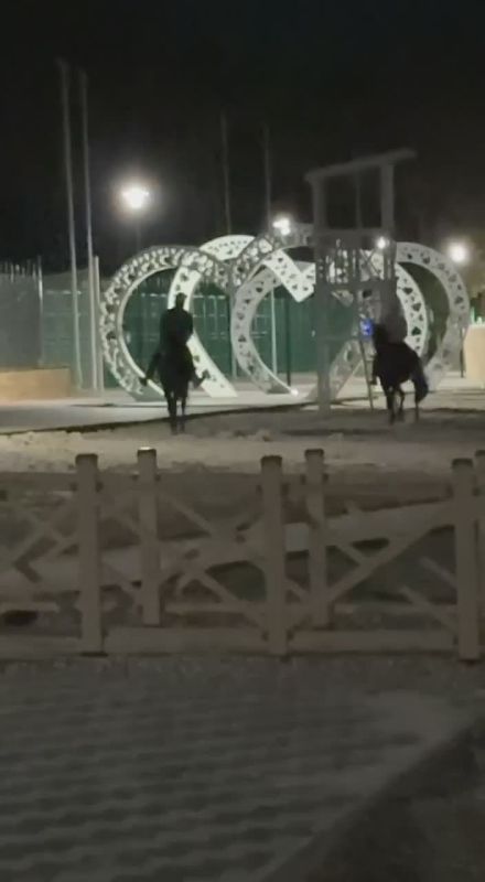 Всадники в масках напали на отдыхающих у Старого озера в Кисловодске