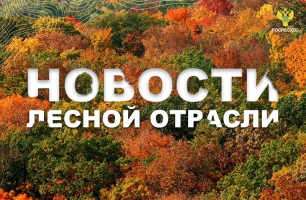 Интерфакс: Около 5,5 тыс. км противопожарных полос создали и прочистили в лесах Подмосковья
