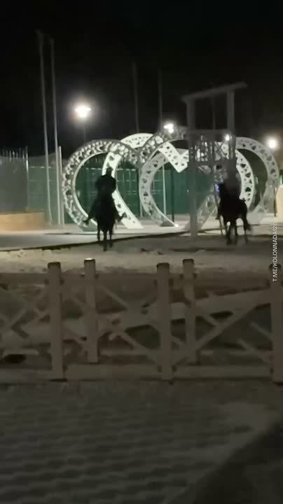 Всадники в масках избили плеткой двух пенсионеров в Кисловодске, кадры инцидента появились в соцсетях
