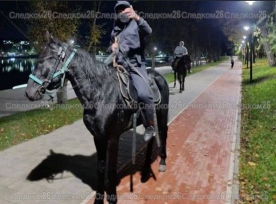 Наглых всадников, напавших на пожилых людей в Кисловодске, ищут правоохранители