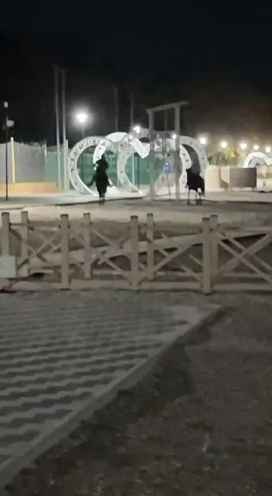 Евгений Моисеев: Дорогие друзья, у нас ЧП.. Вчера вечером, в нарушение закона, на нашем Старом озере появилась пара всадников в масках на лошадях