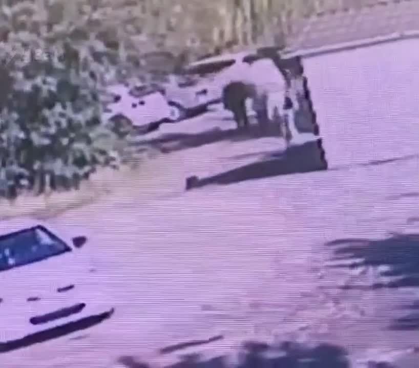    ..     ,    .   ,  ,   ,    ,     