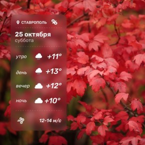 Доброе утро и хороших выходных