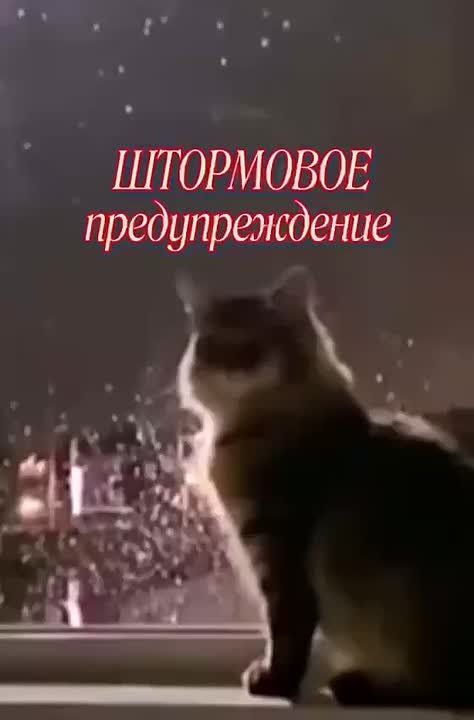 #ШтормовоеМЧС26. По данным Ставропольского Гидрометцентра в период 11-13 часов и до конца суток 26 октября местами в Ставропольском крае ожидается очень сильный дождь