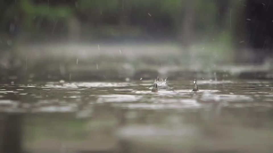 По данным синоптиков, завтра на Ставрополье местами небольшой дождь, утром в отдельных районах туман