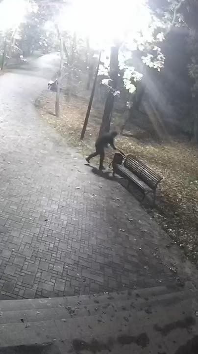 Оторвал и унёс в кусты: вандал со спущенными штанами повредил урну в Ессентуках