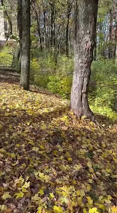 Прогулка по Александровскому парку в Ставрополе