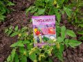Эффективная защита вашего сада: инновации в борьбе с вредителями