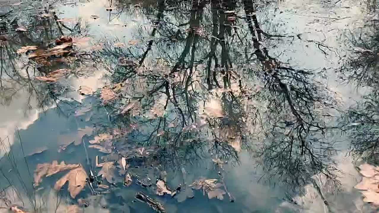 По данным синоптиков, завтра на Ставрополье дождь, местами сильный дождь, утром местами туман