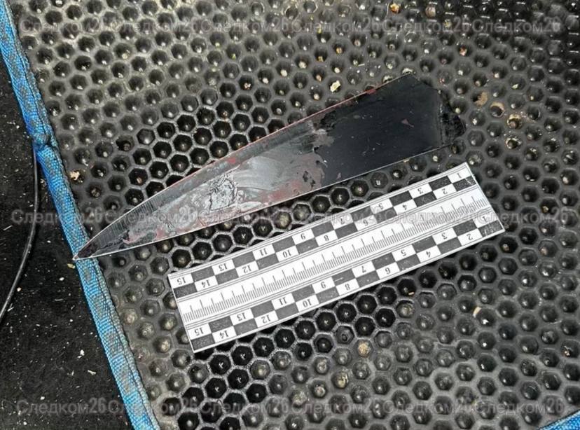 Житель Изобильненского округа задержан по обвинению в убийстве