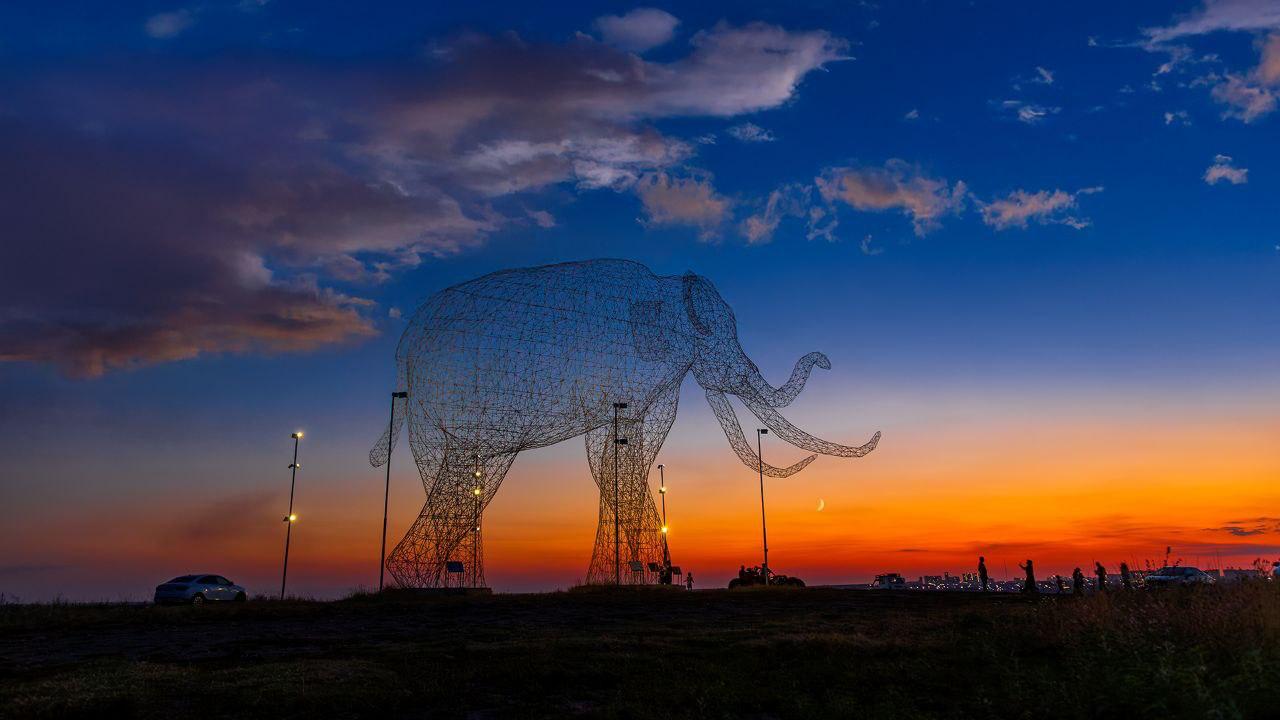 Выставку фотографий с дополненной реальностью откроют в Пятигорске Выставку фотографий с дополненной реальностью откроют в Пятигорске