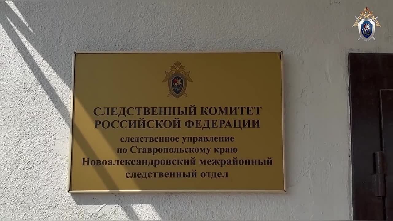 Зарезала сожителя из ревности и села на 9 лет – жительнице Новоалександровского округа вынесли приговор