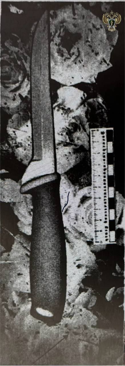 Женщина на 9 лет отправится в колонию за убийство сожителя из ревности Женщина на 9 лет отправится в колонию за убийство сожителя из ревности