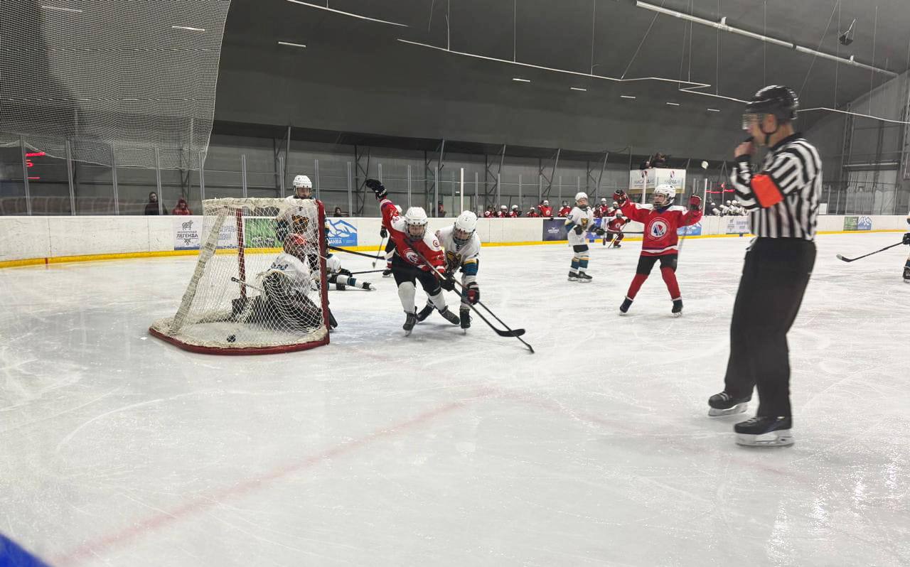 На родном льду – только победы! На родном льду – только победы!