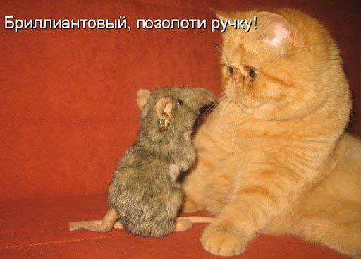 С попрошайками и гадалками будут бороться жестче