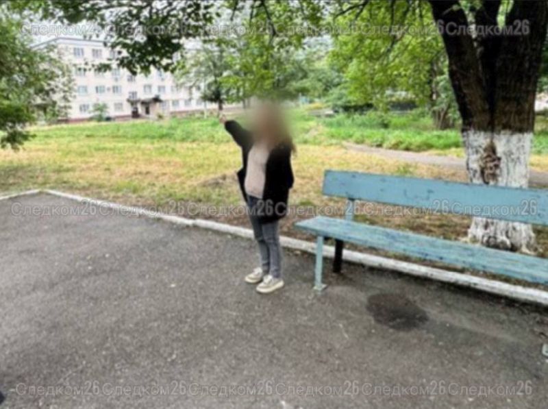 На Ставрополье вынесен приговор женщине, напавшей с ножом на подростка