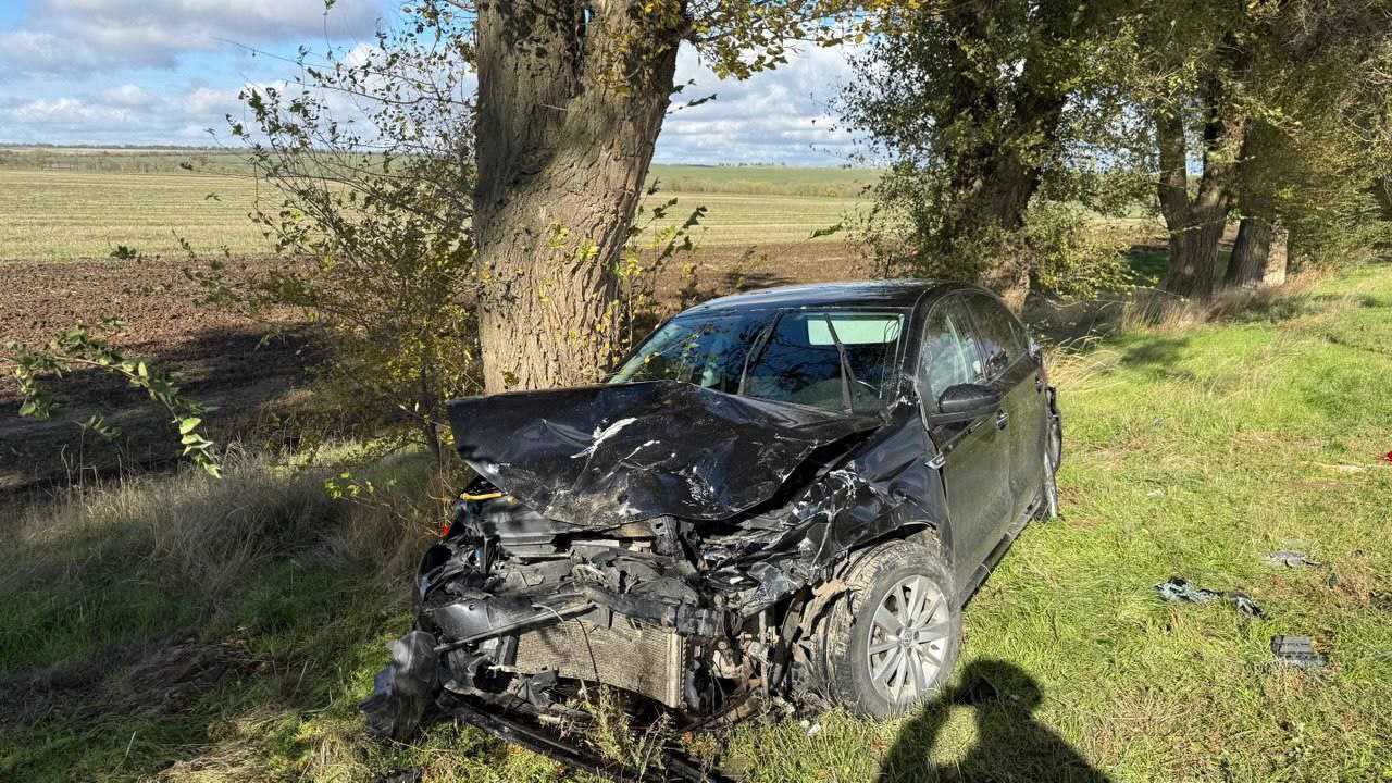 Грудной ребёнок пострадал в ДТП в Петровском округе