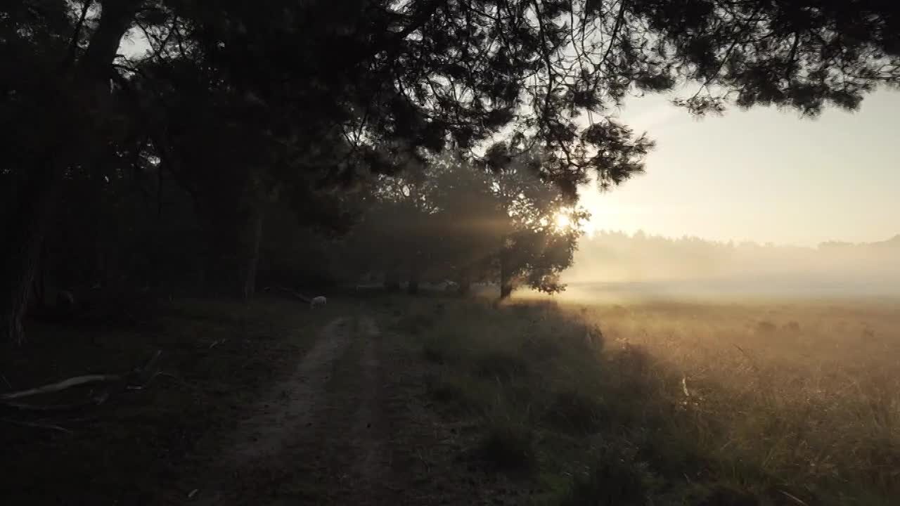 По данным синоптиков, завтра на Ставрополье местами кратковременный дождь, утром в отдельных районах туман