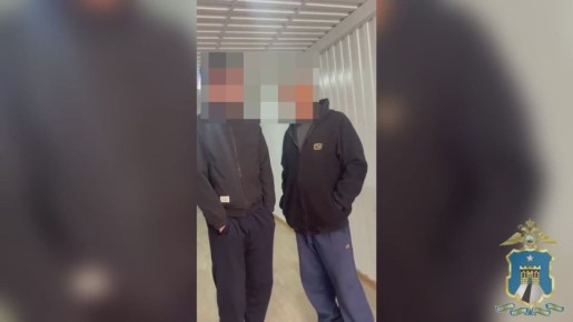 60 мигрантов будут выдворена за пределы страны - в крае подвели итоги второго этапа операции «Нелегал-2025»