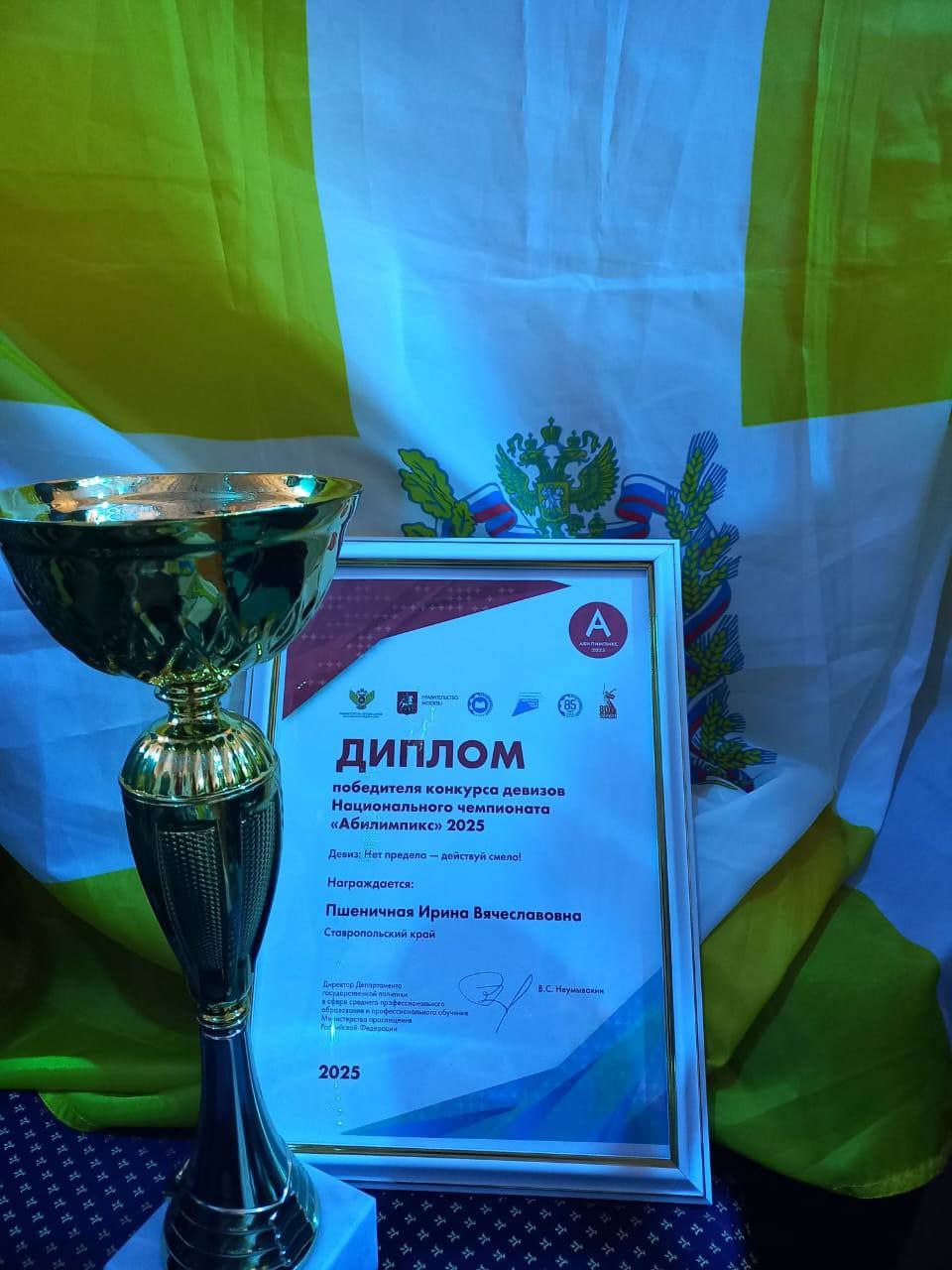 Ещё 6 медалей и почётный диплом завоевали ставропольцы на национальном чемпионате «Абилимпикс» Ещё 6 медалей и почётный диплом завоевали ставропольцы на национальном чемпионате «Абилимпикс»