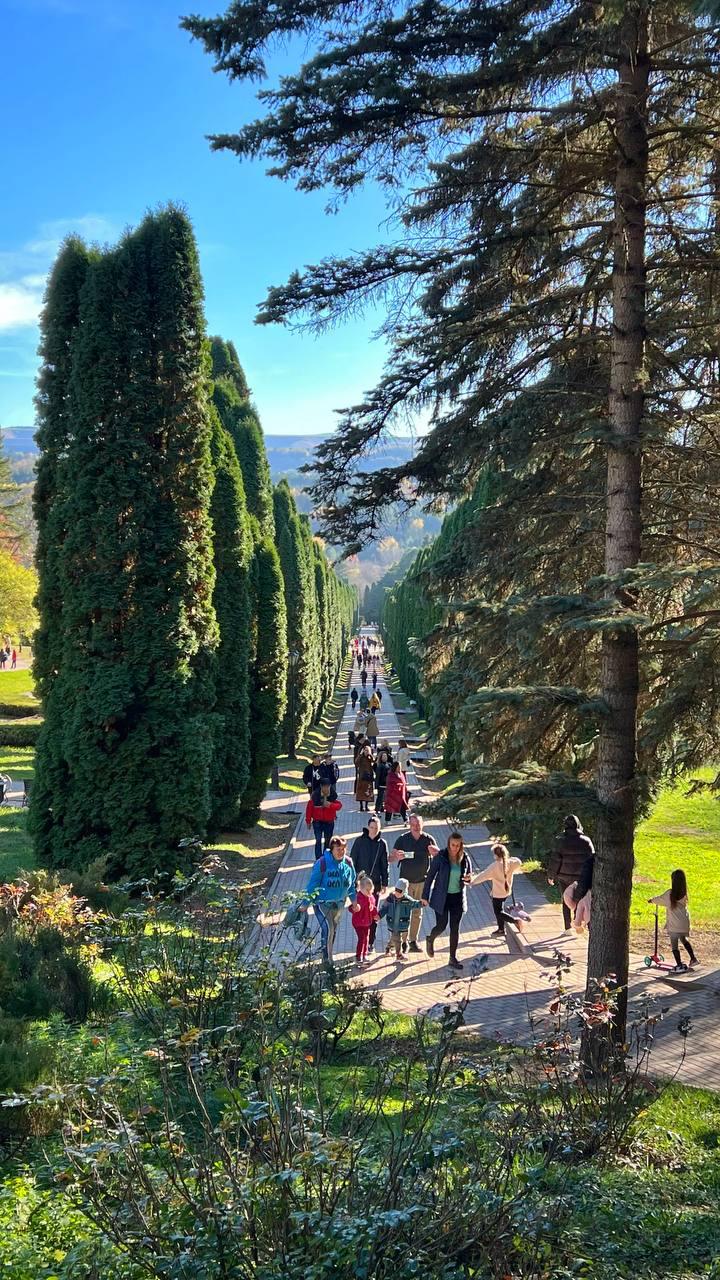 Красочная осень в городе-курорте Кисловодске Красочная осень в городе-курорте Кисловодске