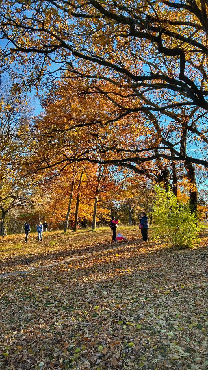 Красочная осень в городе-курорте Кисловодске Красочная осень в городе-курорте Кисловодске
