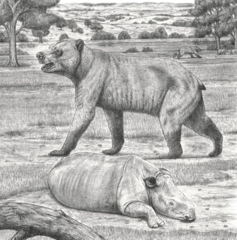 &quot;  &quot;.          ,      5-6   