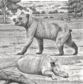 &quot;  &quot;.          ,      5-6   